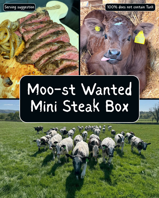 Moo-st Wanted MINI Steak Box
