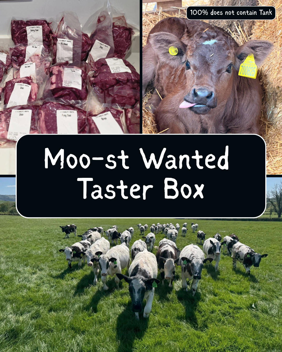 Moo-st Wanted Taster Box