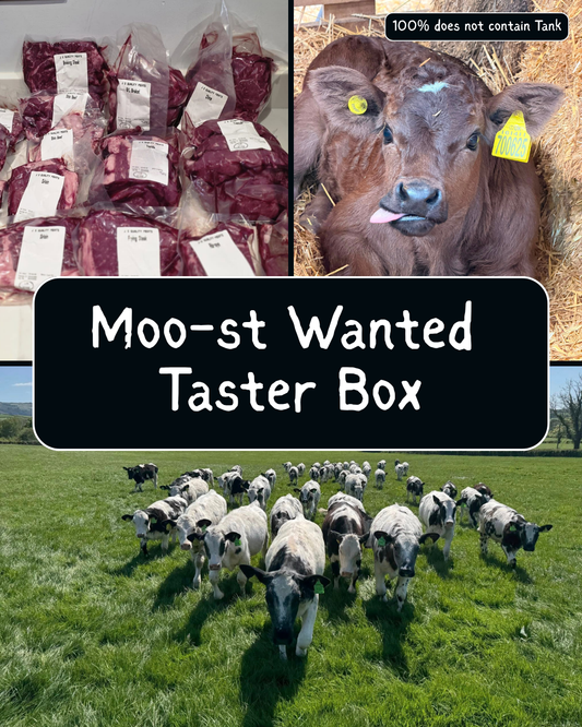 Moo-st Wanted Taster Box